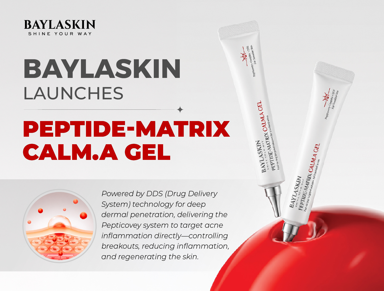PEPTIDE-MATRIX CALM.A GEL – A comprehensive solution to clear blemishes, soothe inflammation, and minimize post-acne hyperpigmentation